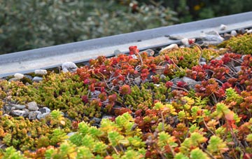 the cost of Upper Tullich green roof installation