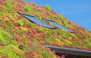 Upper Tullich living roof systems
